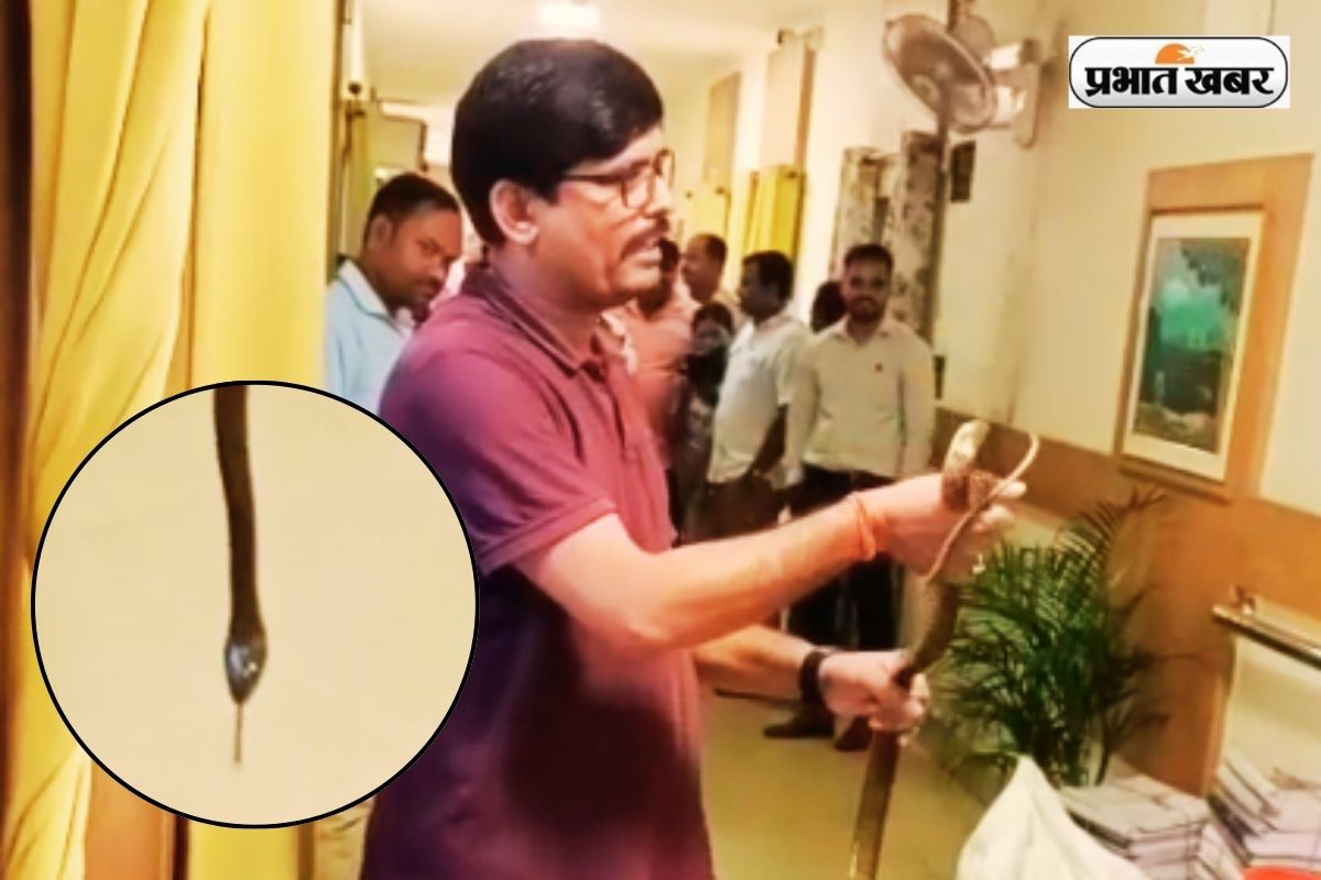 Viral Video Snake in Secretariat Ranchi Jharkhand