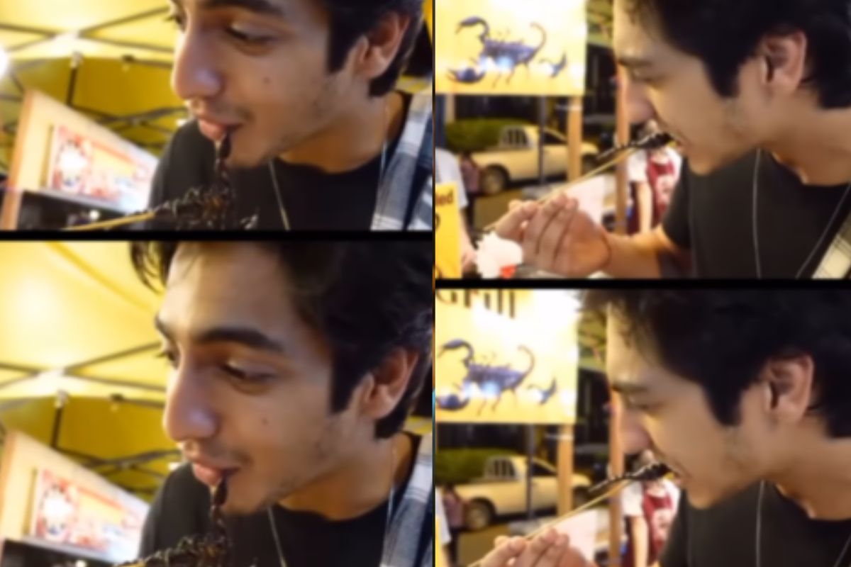 ahaan pandey eats scorpion