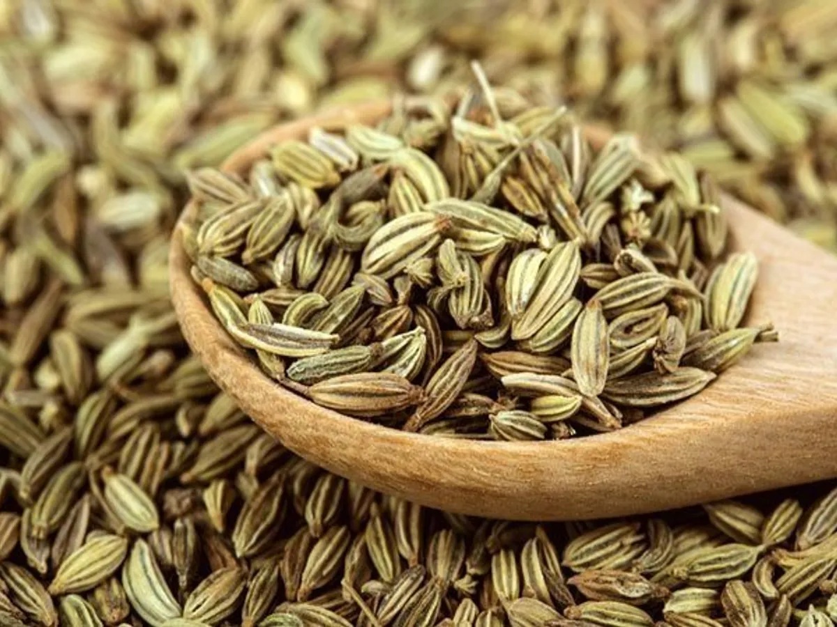 benefits of fennel seed