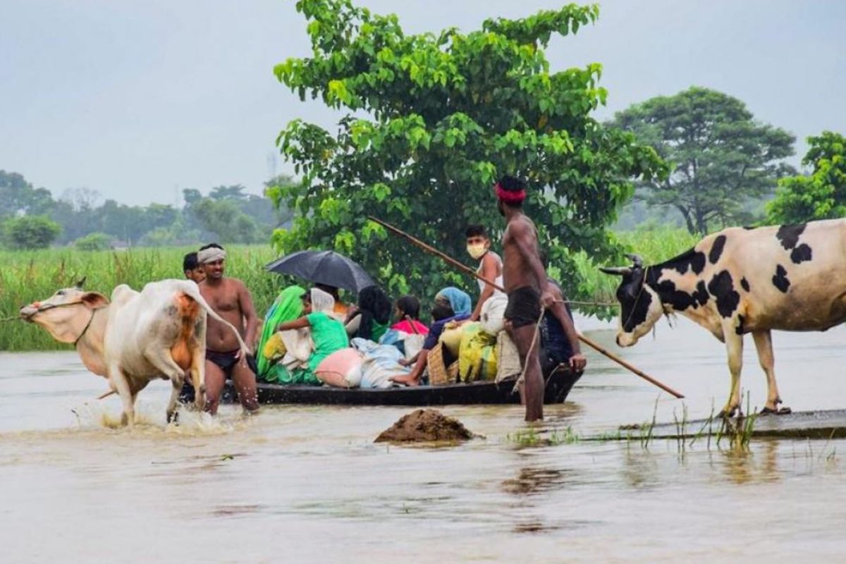 Bihar Flood Falgu river three districts Many embankments broke