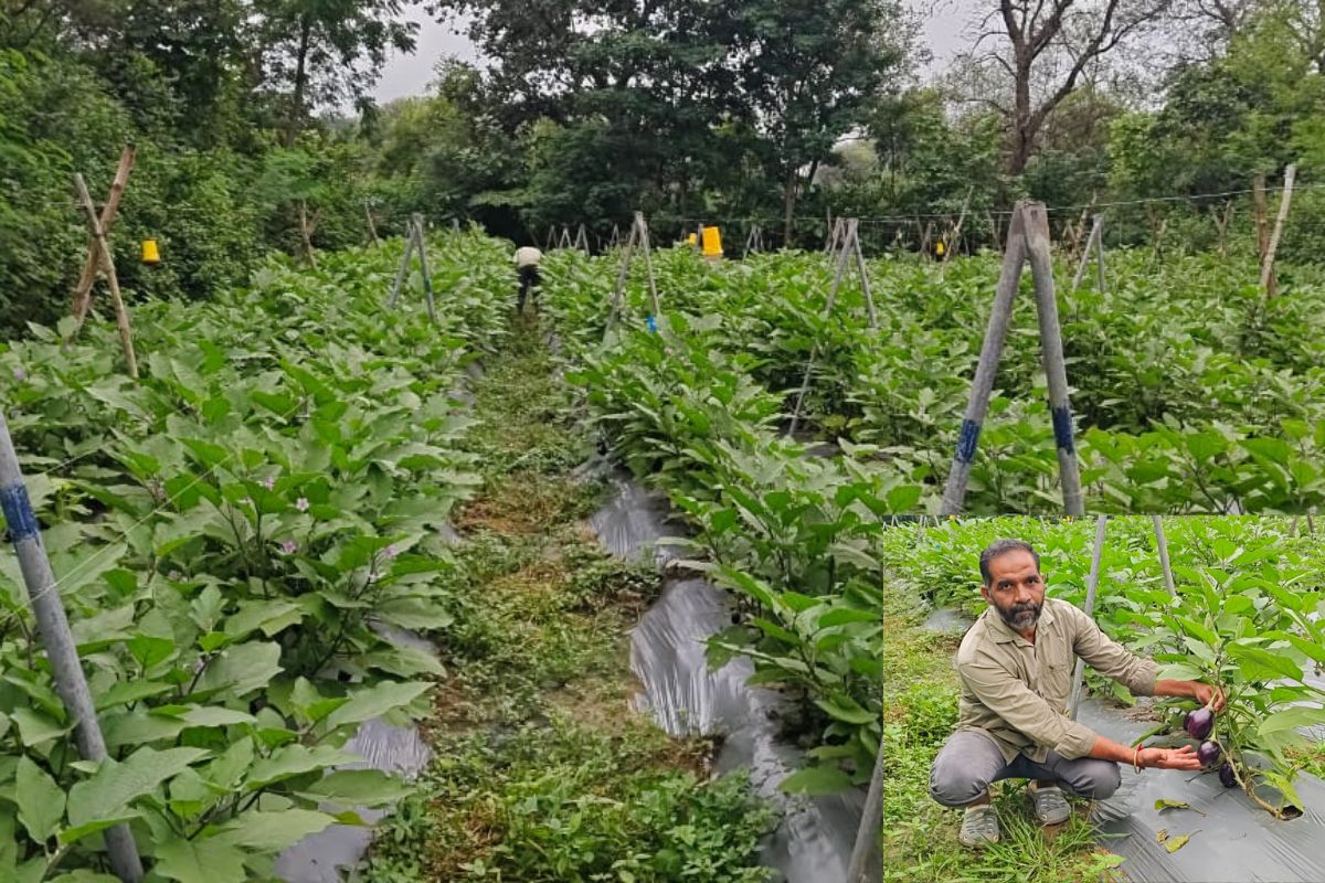 farmer Khetro Mohan Sahu