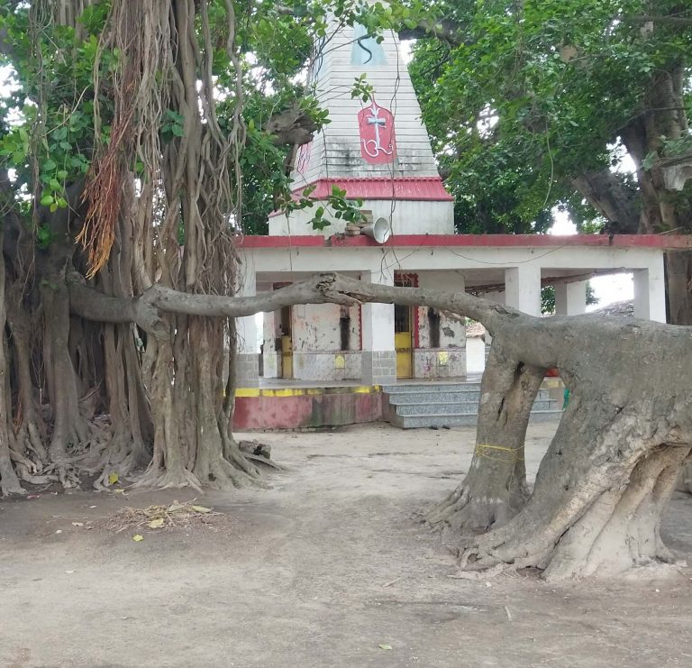 Sitamarhi : अंतिम सोमवारी पर बाबा नागेश्वर नाथ शिव मंदिर में उमड़ेगी श्रद्धालुओं की भीड़