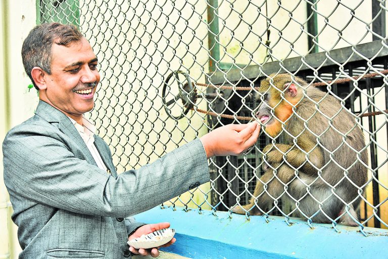 Jamshedpur News : फ्रेंडशिप डे पर टाटा जू में धूमधाम से मना हैंड-रीयर्ड मैंड्रिल रंगा का जन्मदिन