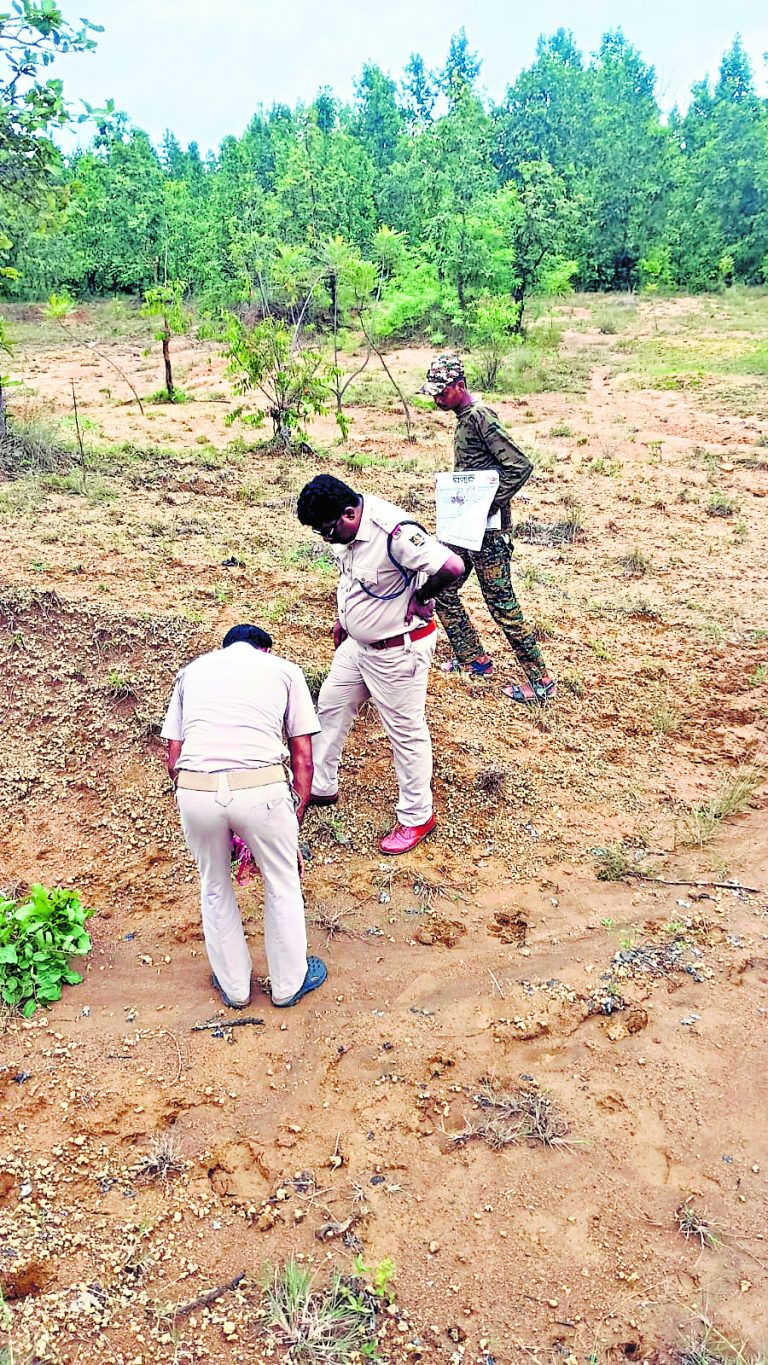 Jharsuguda News: लैयकरा ब्लॉक क्षेत्र में दिखे बाघ के पंजे के निशान, वन विभाग की टीम जांच में जुटी