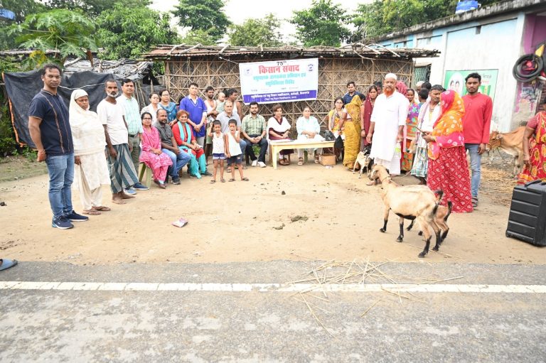 पशु चिकित्सा शिविर में 493 पशुओं का हुआ इलाज