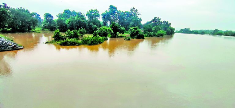 Rourkela News: मिटकुंदरी में देव नदी का जलस्तर बढ़ा, खेतों में घुसा पानी, धान की फसल को नुकसान