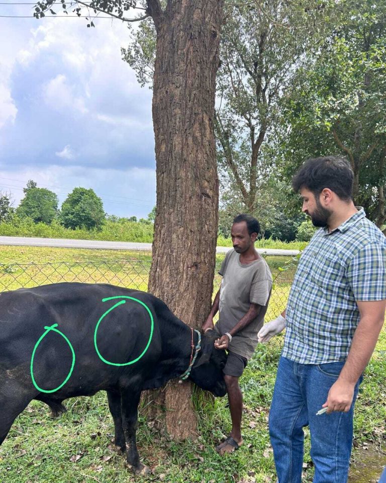 पशुओं की जांच कर उपचार करें : डॉ मीर