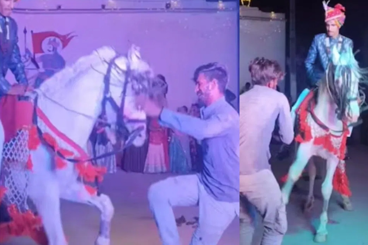 mare-dance-with-groom