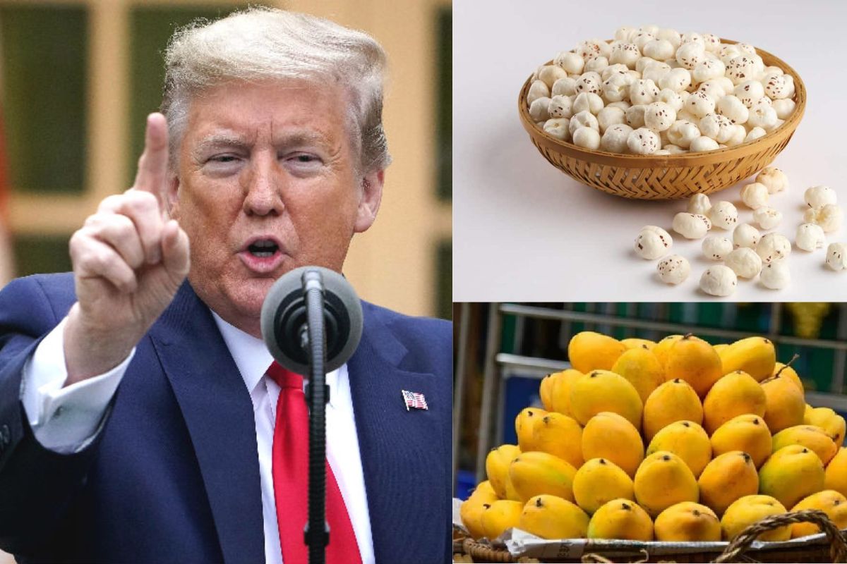 trump tarrif bihar| Trump tariff will affect Bihar's exports worth Rs 250 crore