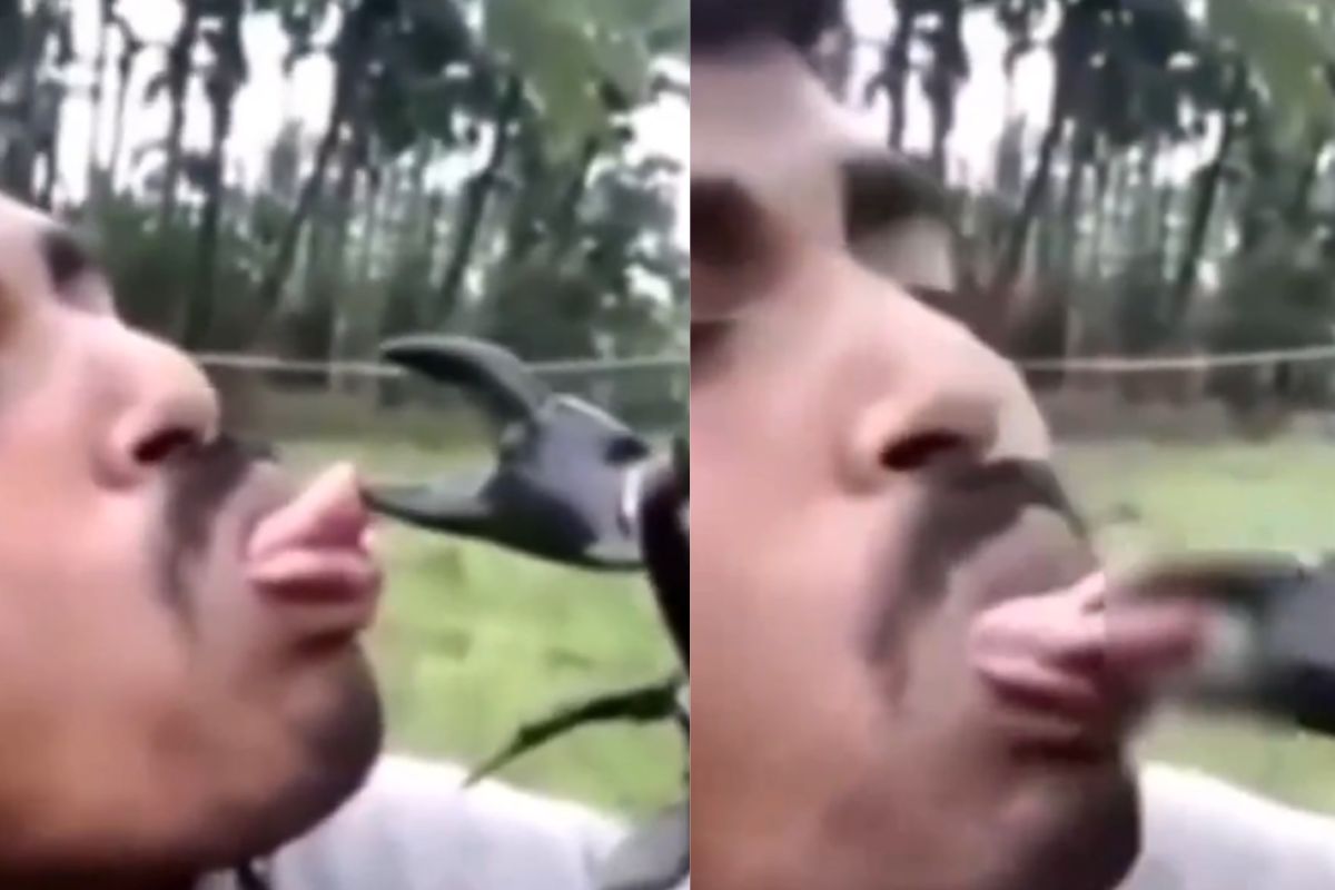 young man kissing crab