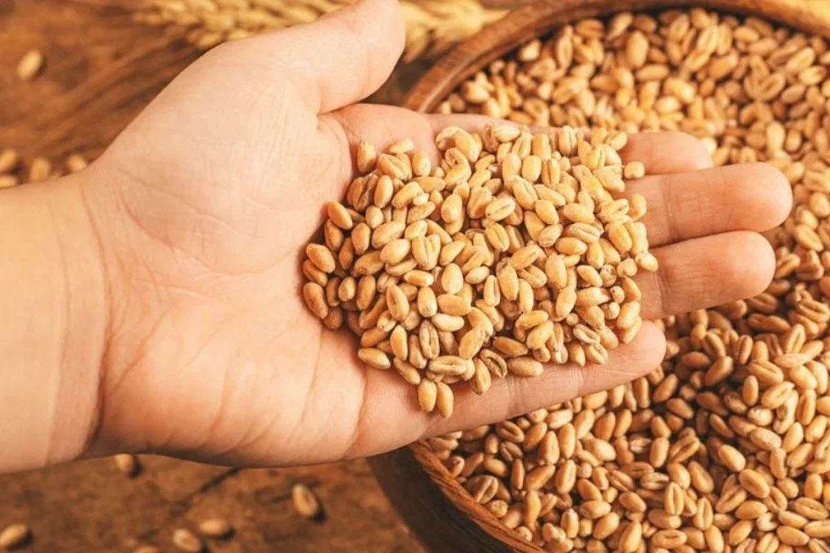 सांकेतिक तस्वीर