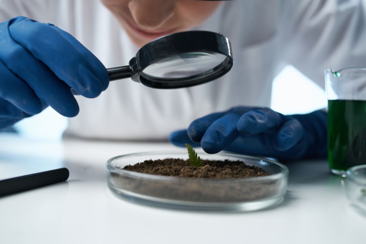 18 mini soil testing labs will open in Nalanda