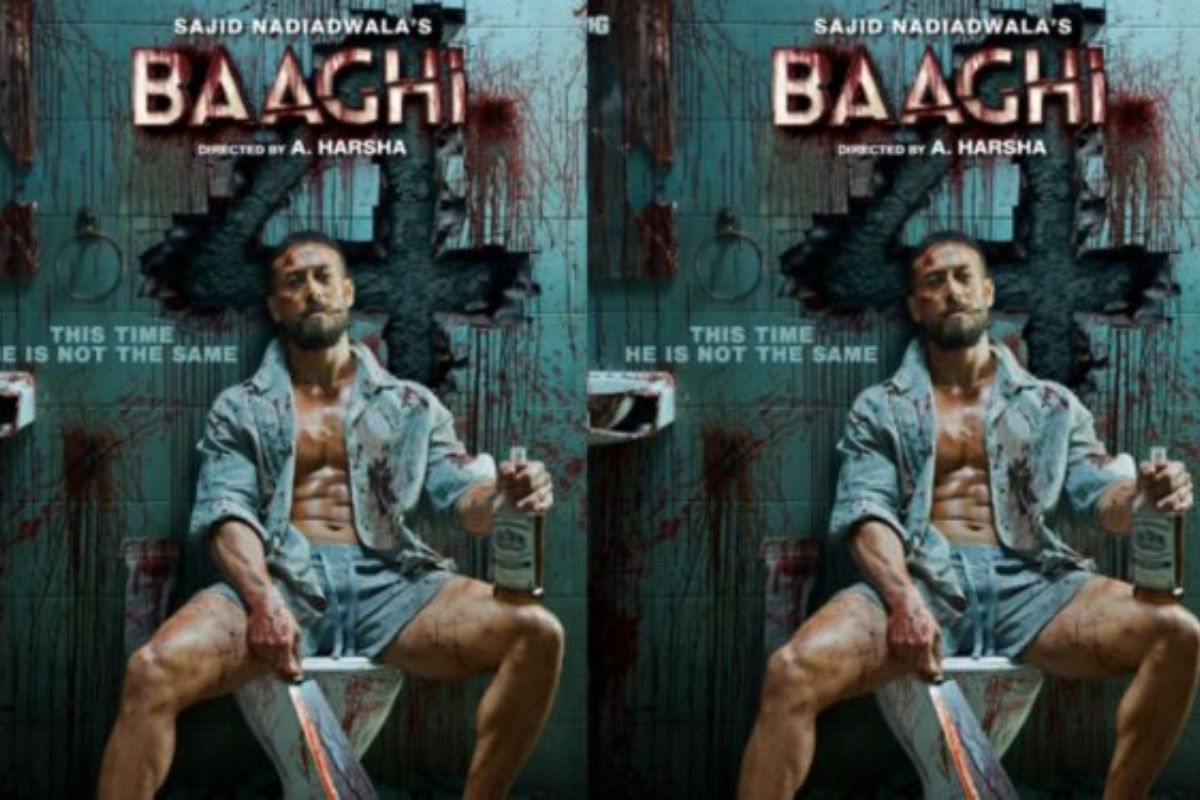 Baaghi 4 Box Office Collection Day 13
