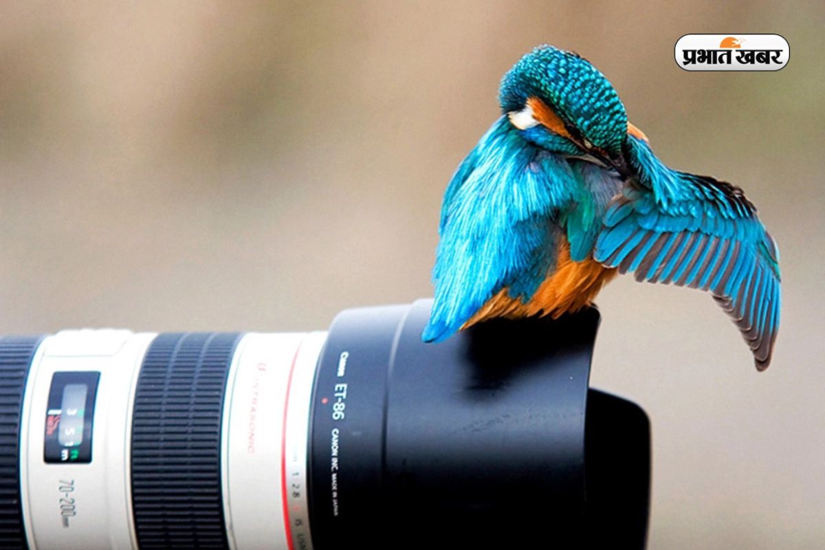 Best Career Course After 12th