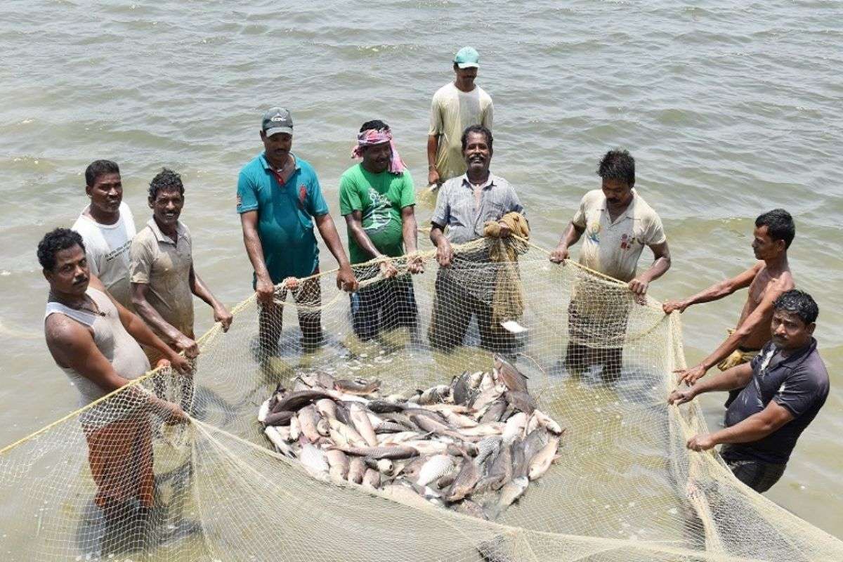 Bihar Fish Farming government offering subsidy for Fishermen