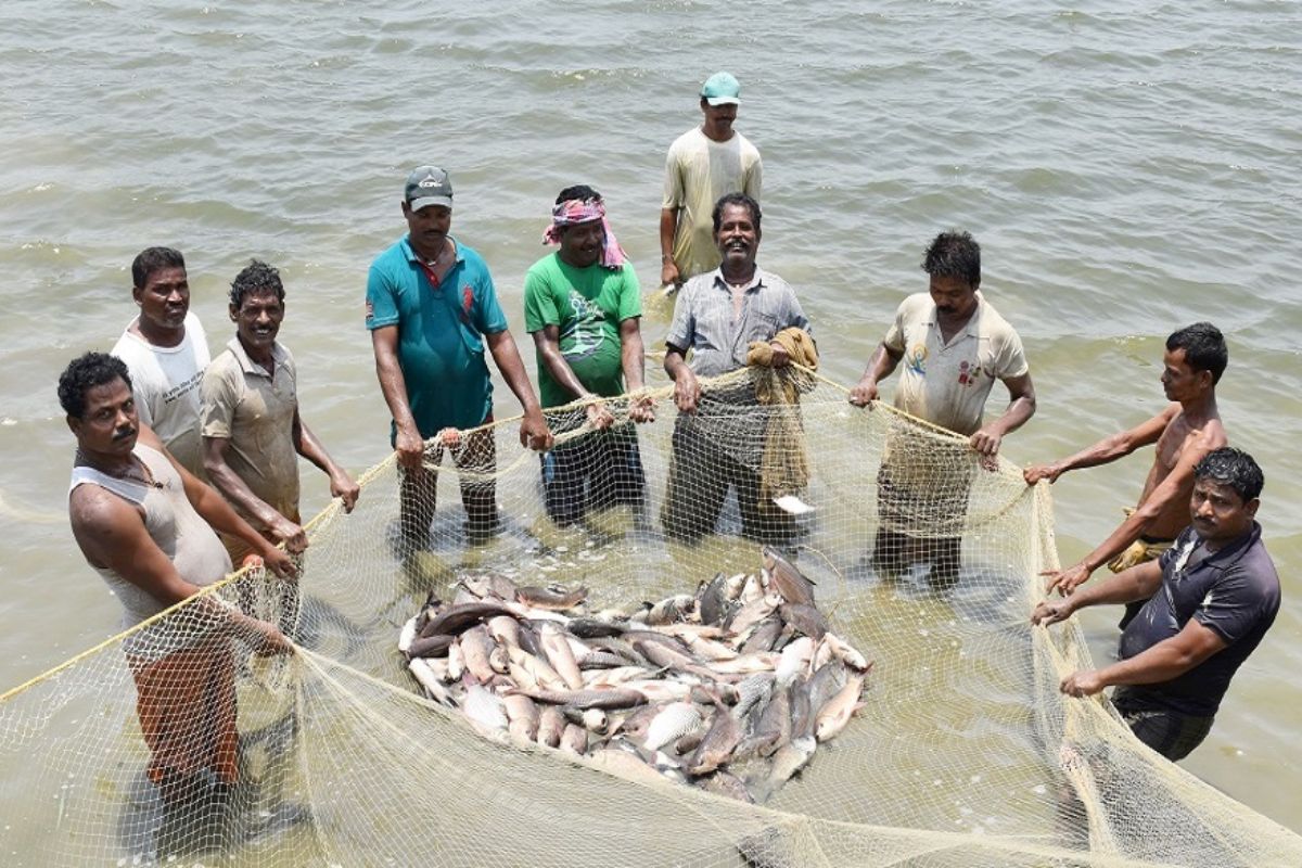 Bihar Fish Farming government ended big tension of farmers help of lakh rupees