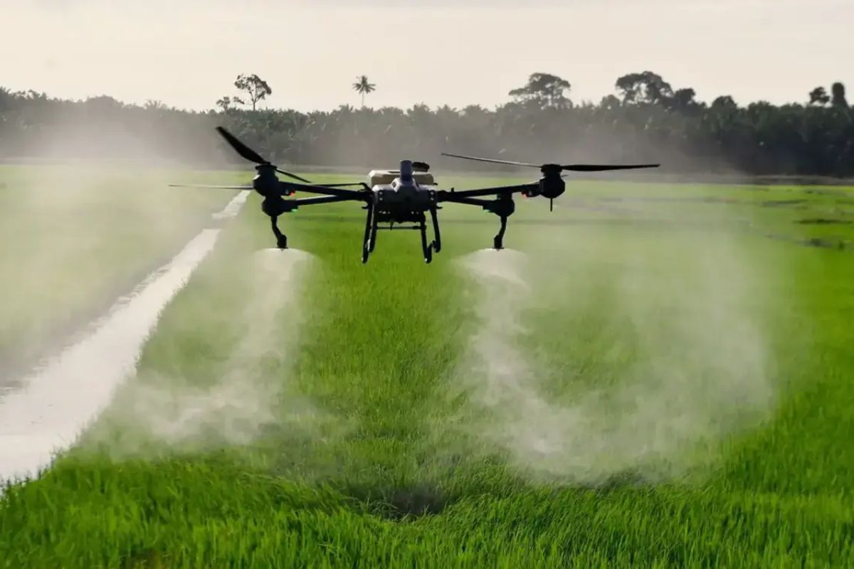 Bihar Kisan Farmers hi-tech training to fly drones know benefit