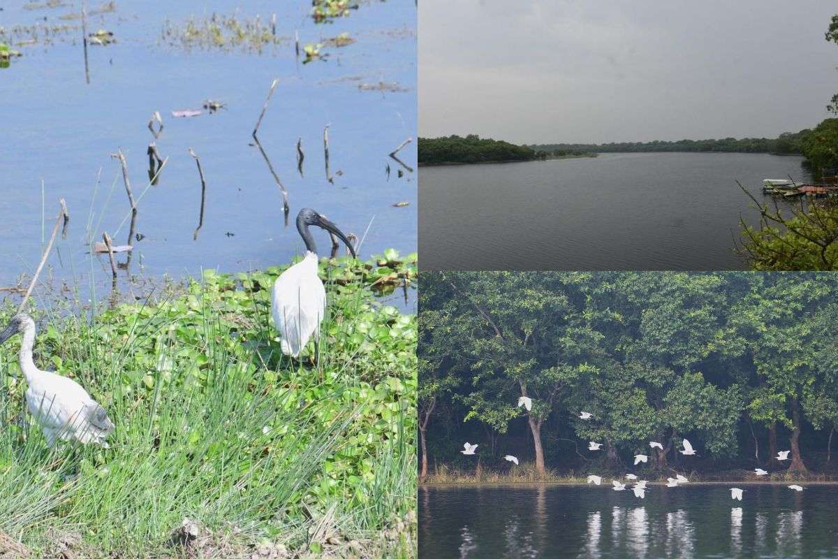 Bihar News two new Ramsar sites offering tourists truly unique view