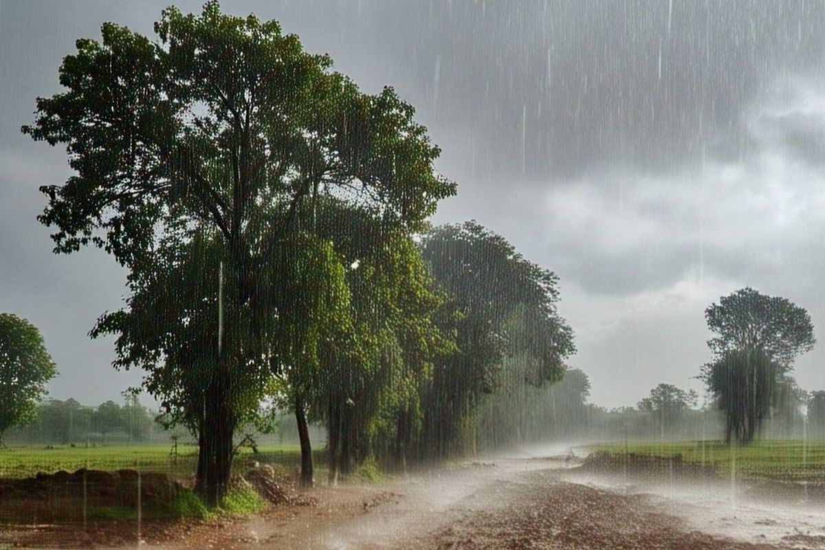 Bihar Weather heavy rain in six districts warning for entire seven days