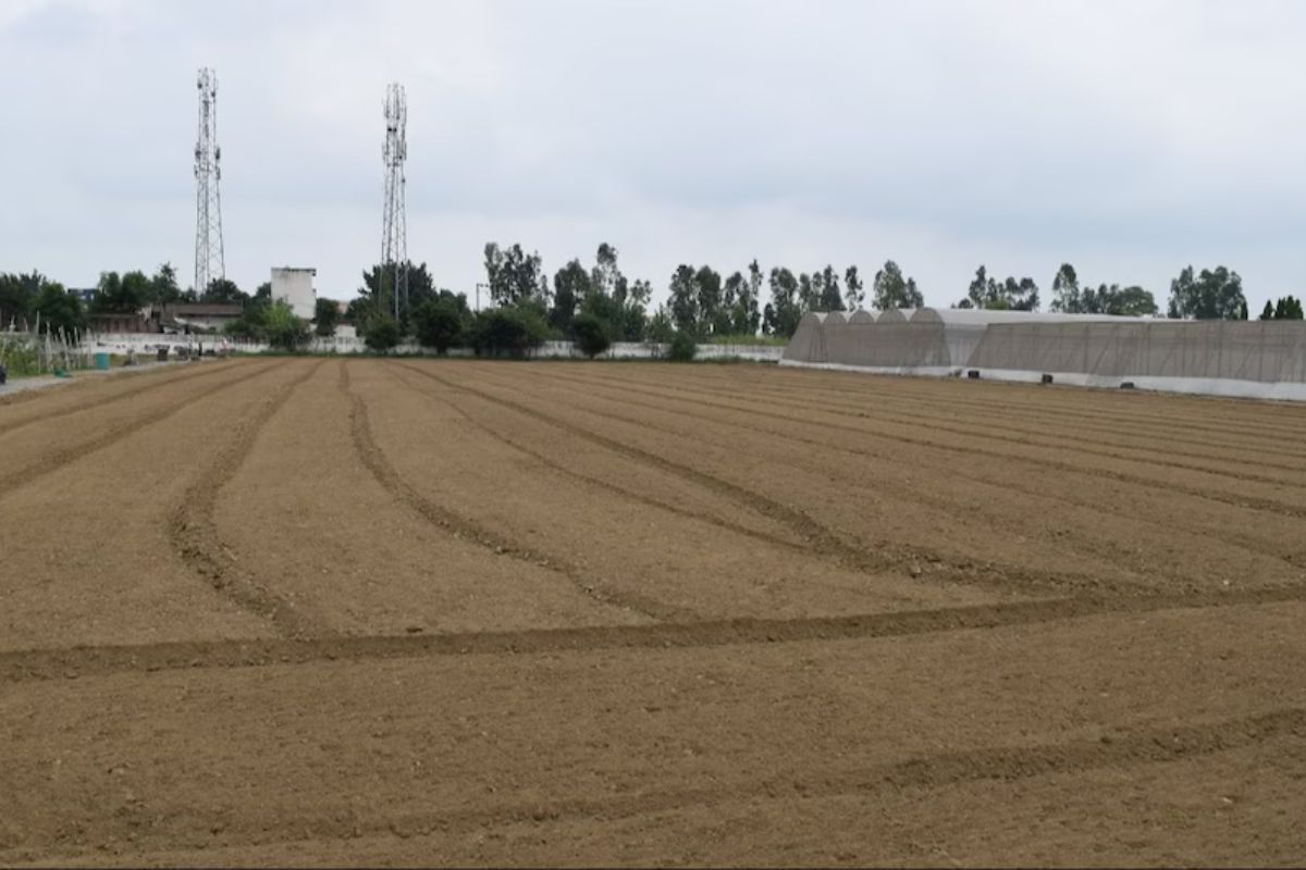 Bihar government will acquire land in Muzaffarpur