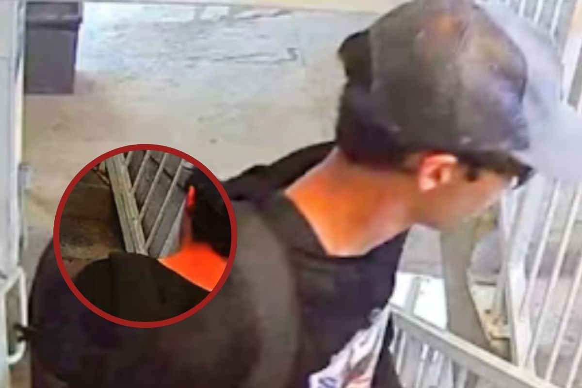 Charlie Kirk Assassination