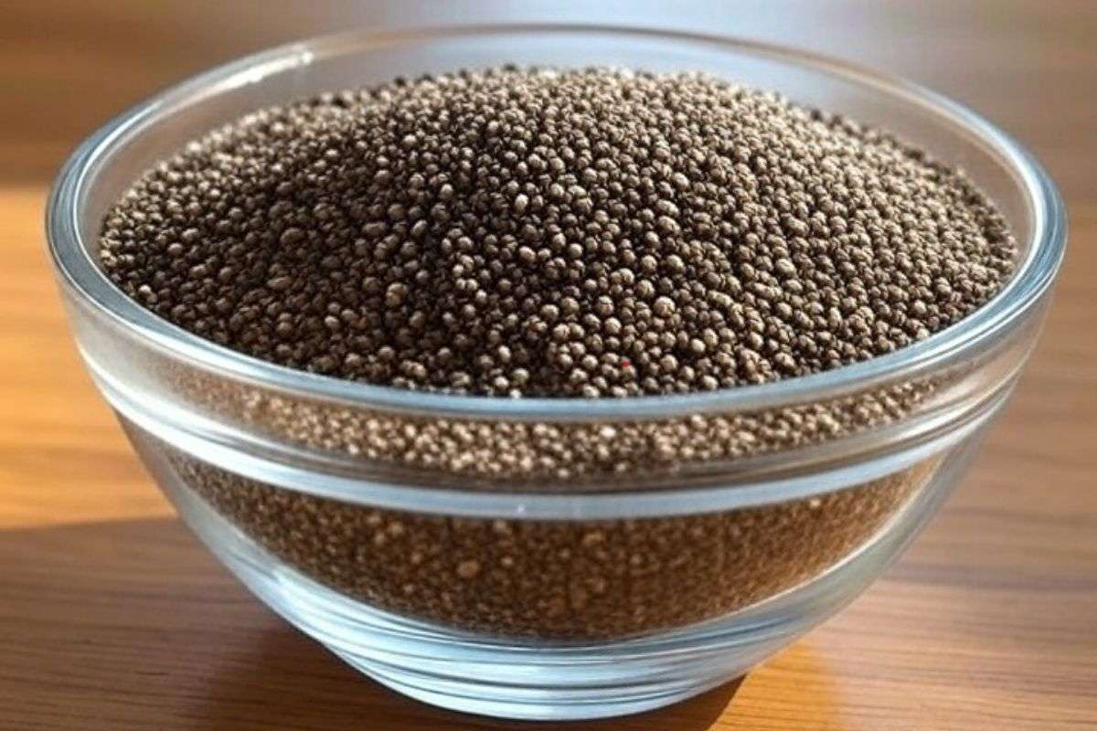 Chia Seeds