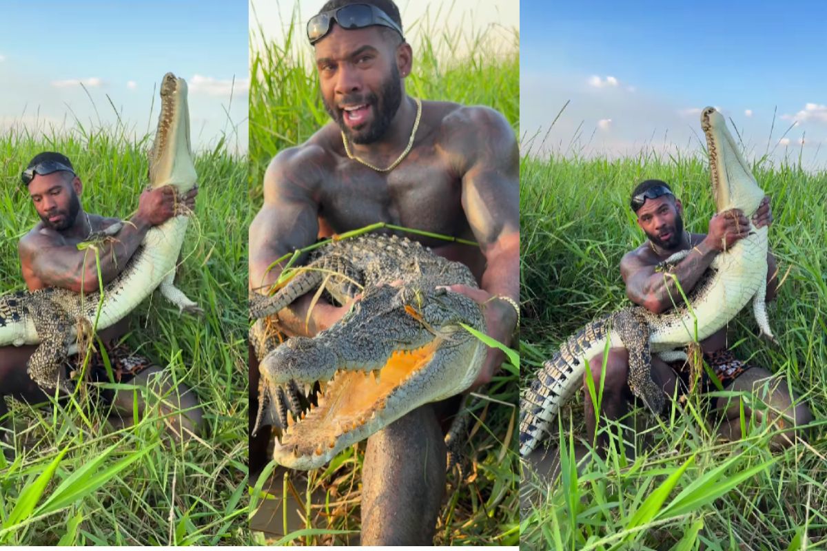 Crocodile Viral Video Clip