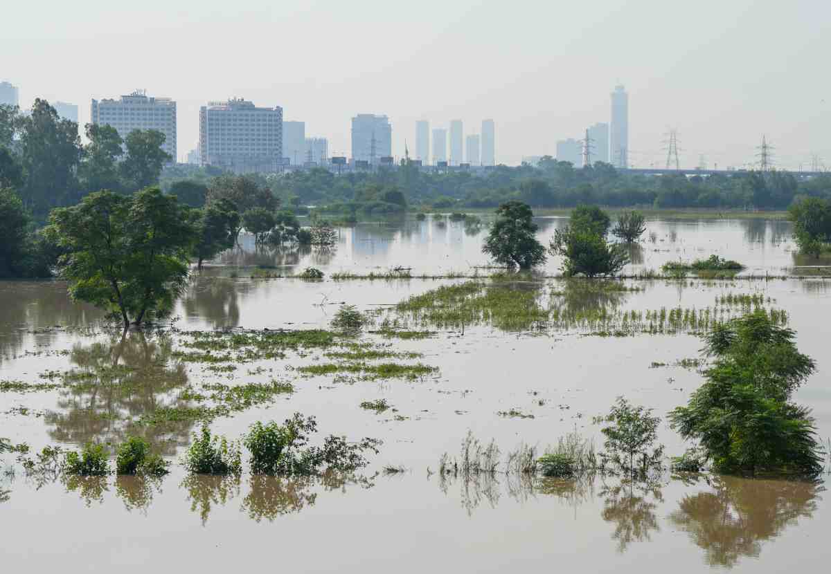 Yamuna River : दिल्ली में लाश जलाना भी मुश्किल, और डराने लगी यमुना नदी, वीडियो आया सामने 2 Delhi Flood Photo