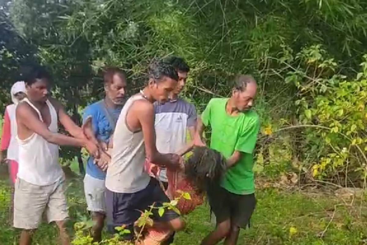 Elephant Attacks chhattisgarh