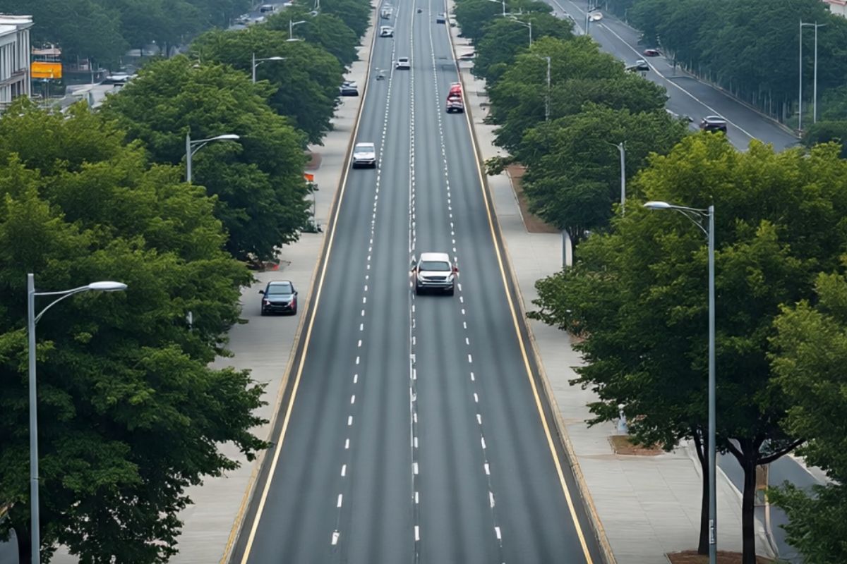 Expressway In Bihar Amas-Darbhanga road seven districts get benefit