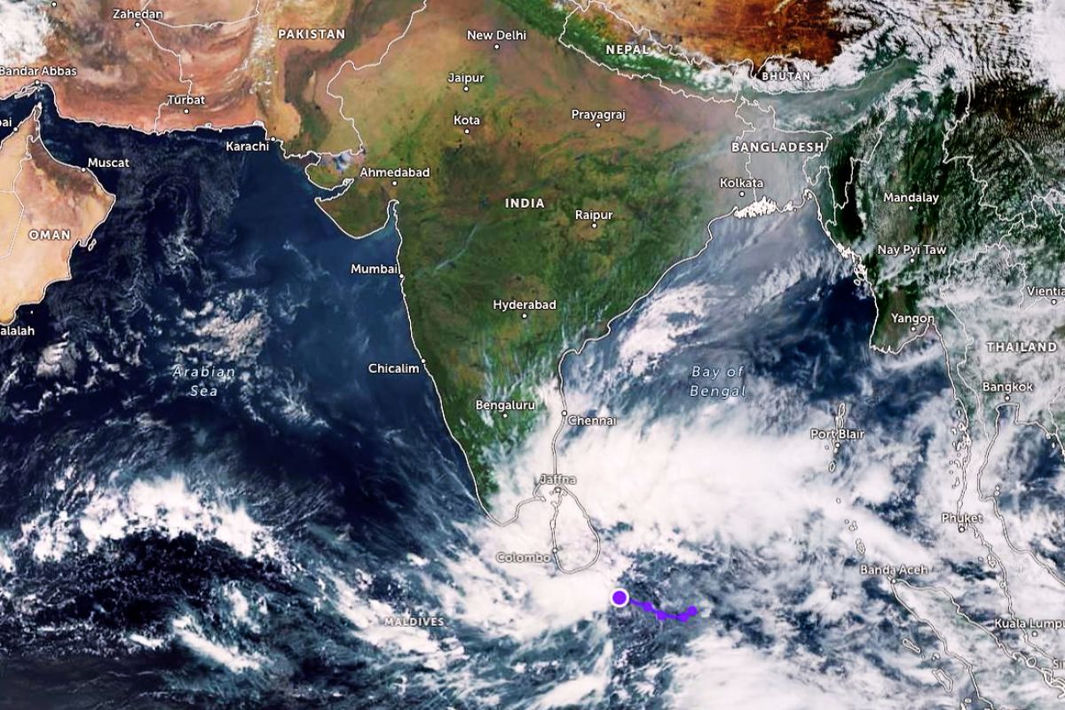 Heavy Rain Alert Jharkhand Weather Yellow Alert News