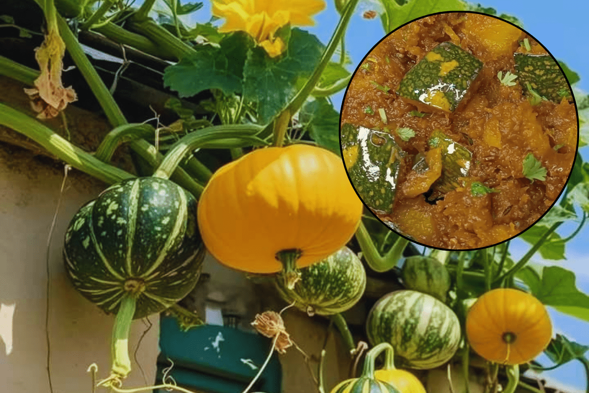 Khatti Meethi Kaddu ki Sabji Recipe for Jitiya 2025