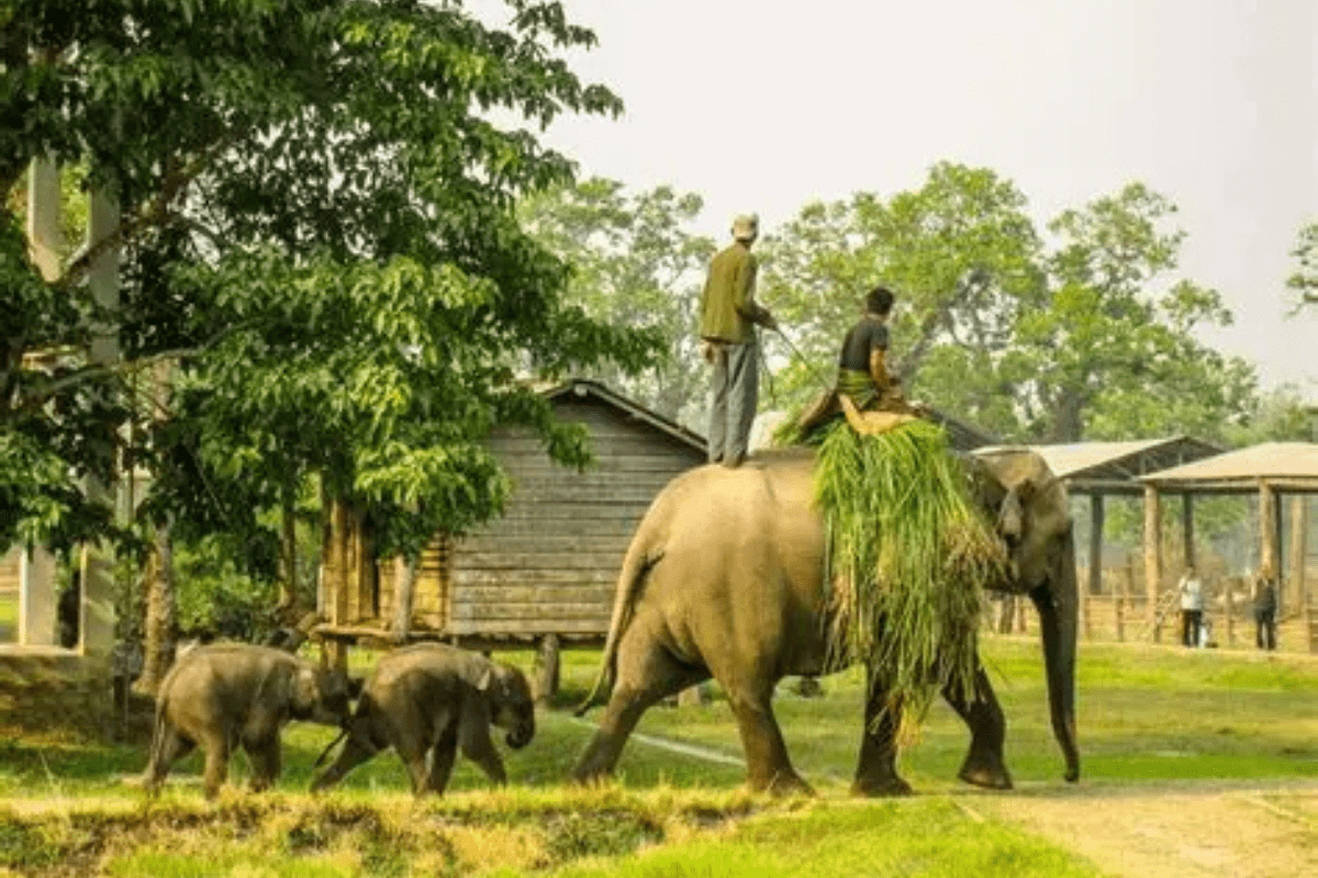 Nepal Tourist Places 3