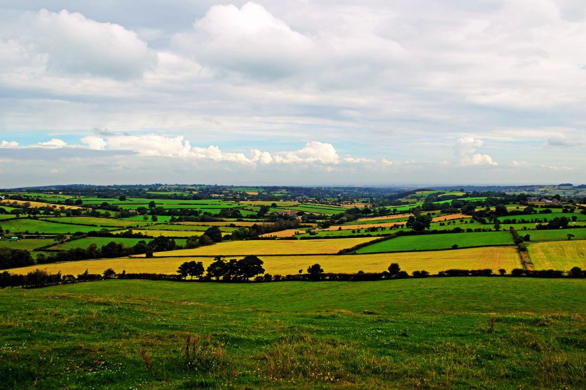 Nowcast Weather Warning Jharkhand