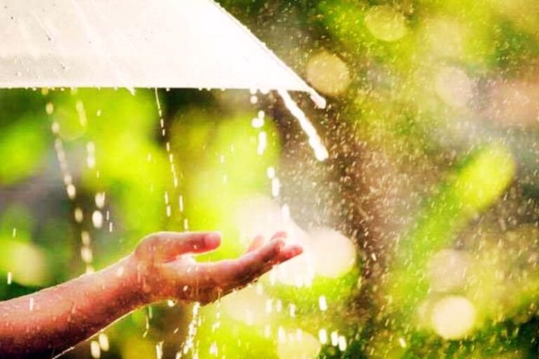 रांची समेत 9 जिलों में अगले 3 घंटे में होगी गरज के साथ बारिश, वज्रपात की भी आशंका, येलो अलर्ट जारी
