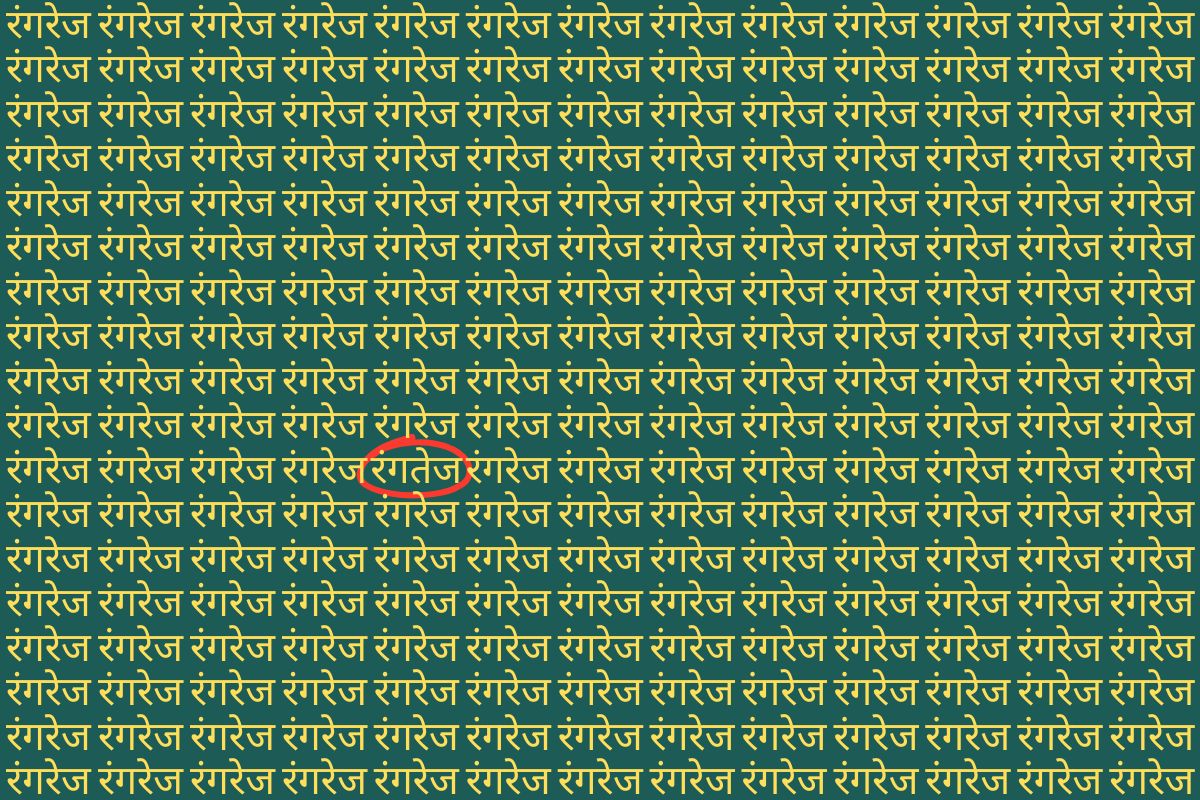 Optical Illusion Image Answer rangtez