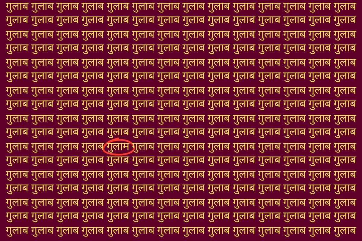 Optical Illusion Photo Answer Gulab