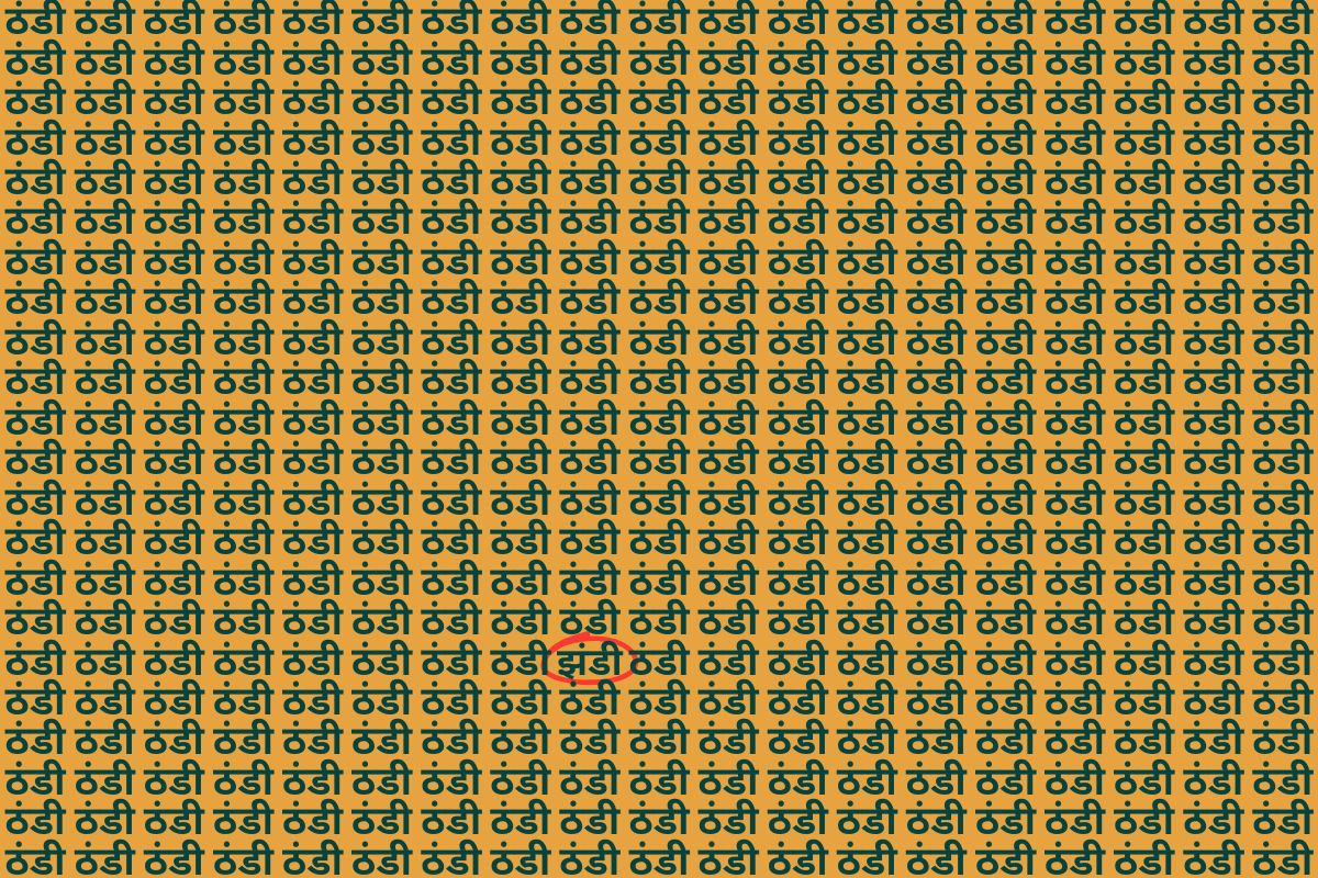 Optical Illusion Photo Answer Jhandi