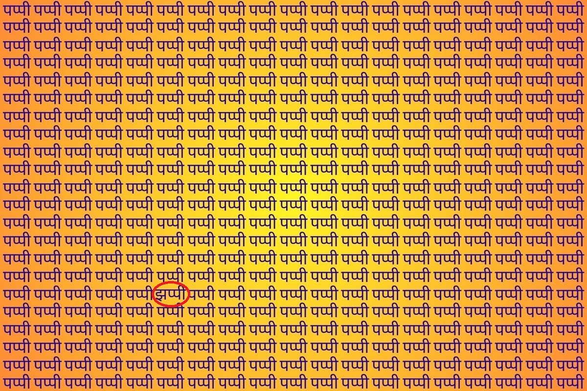 Optical Illusion Photo Answer Jhappi