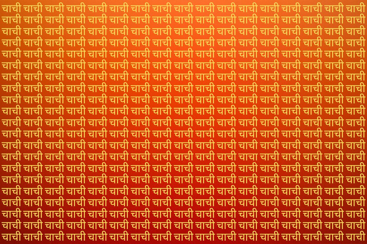 Optical Illusion Photo Chacha