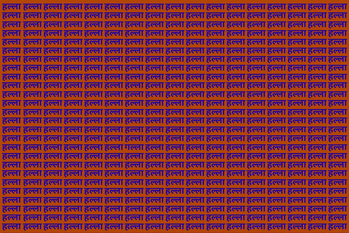 Optical Illusion Photo Galla