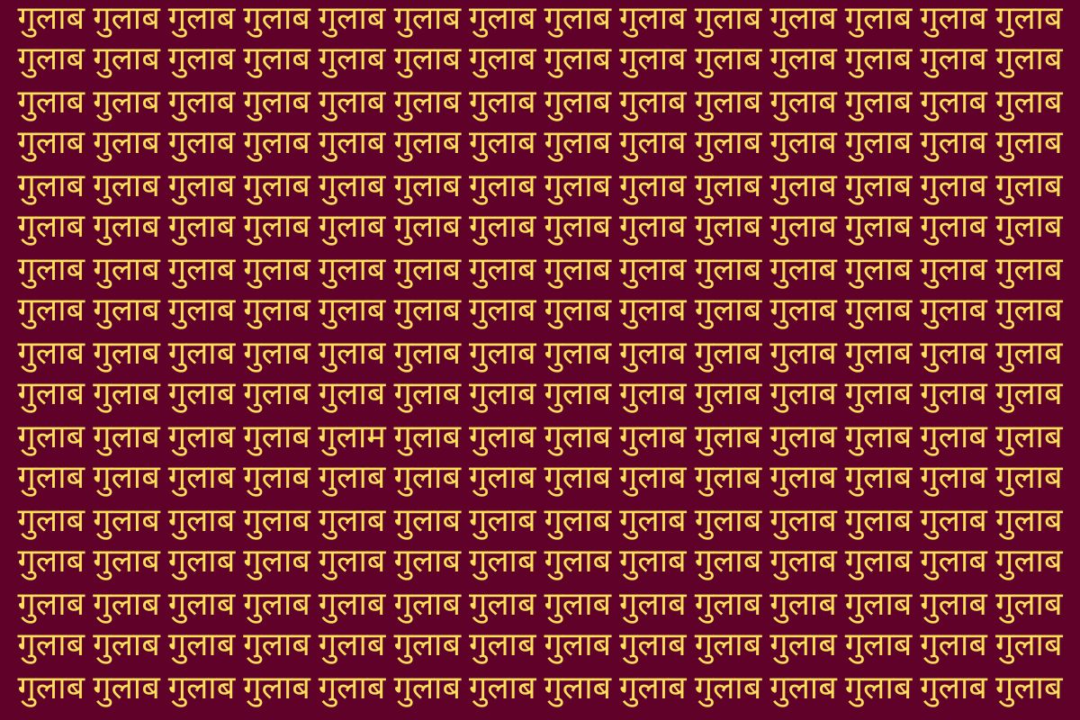 Optical Illusion Photo Gulab