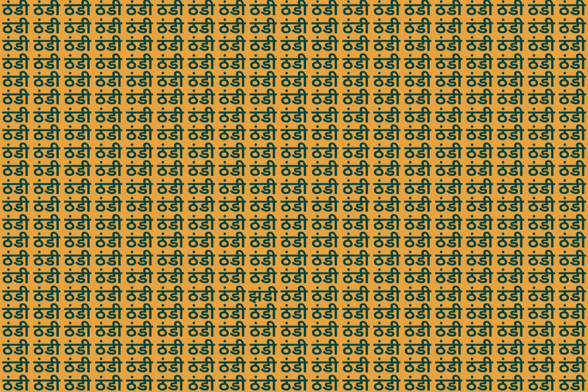 Optical Illusion Photo Jhandi