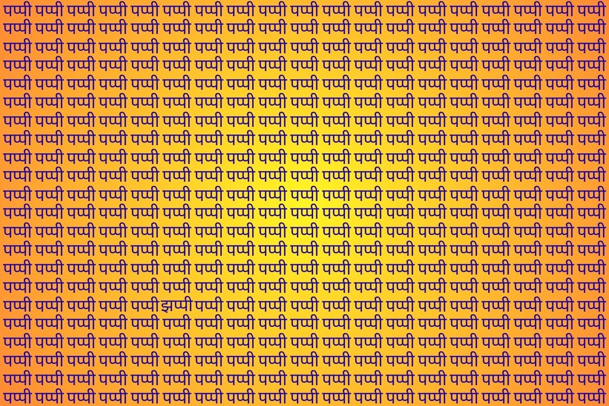 Optical Illusion Photo Jhappi