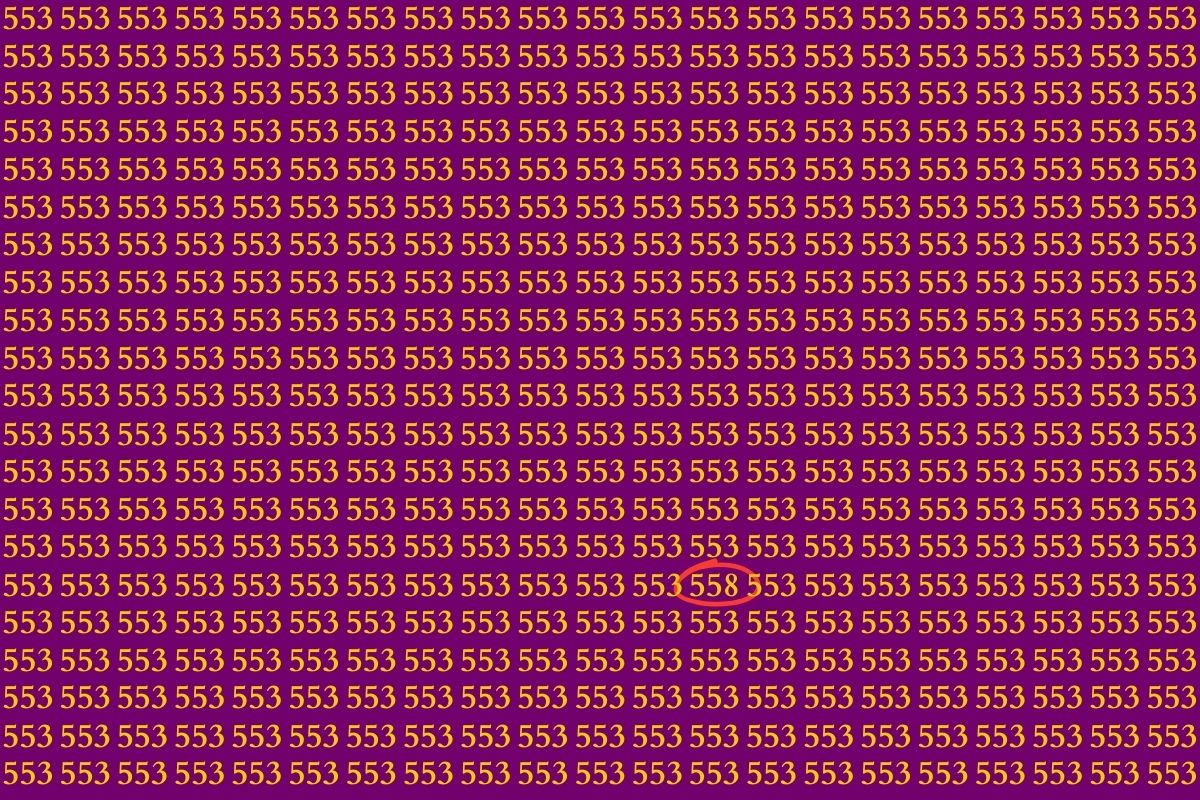 Optical Illusion Photo Number Answer