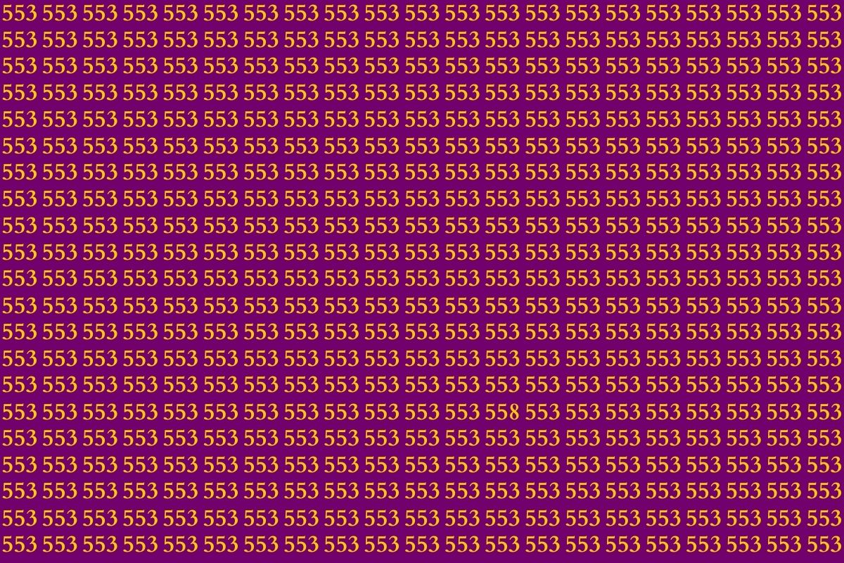 Optical Illusion Photo Number