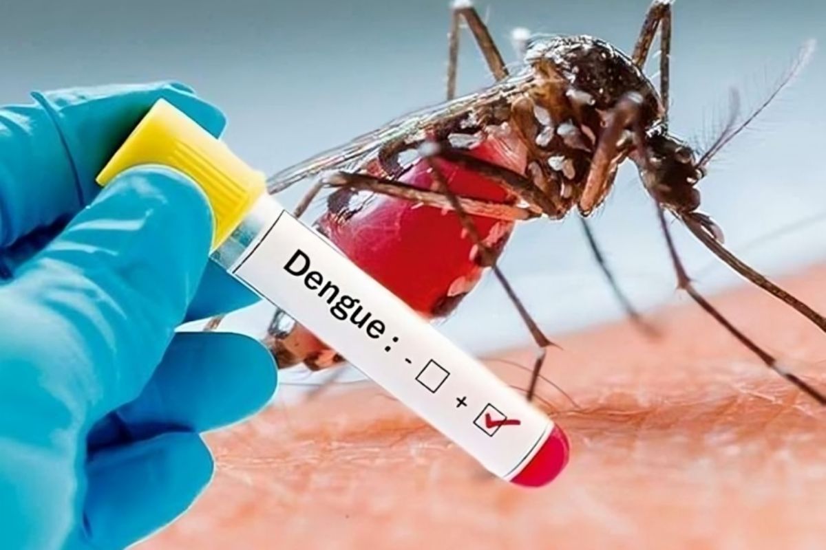 Patna Dengue Sting