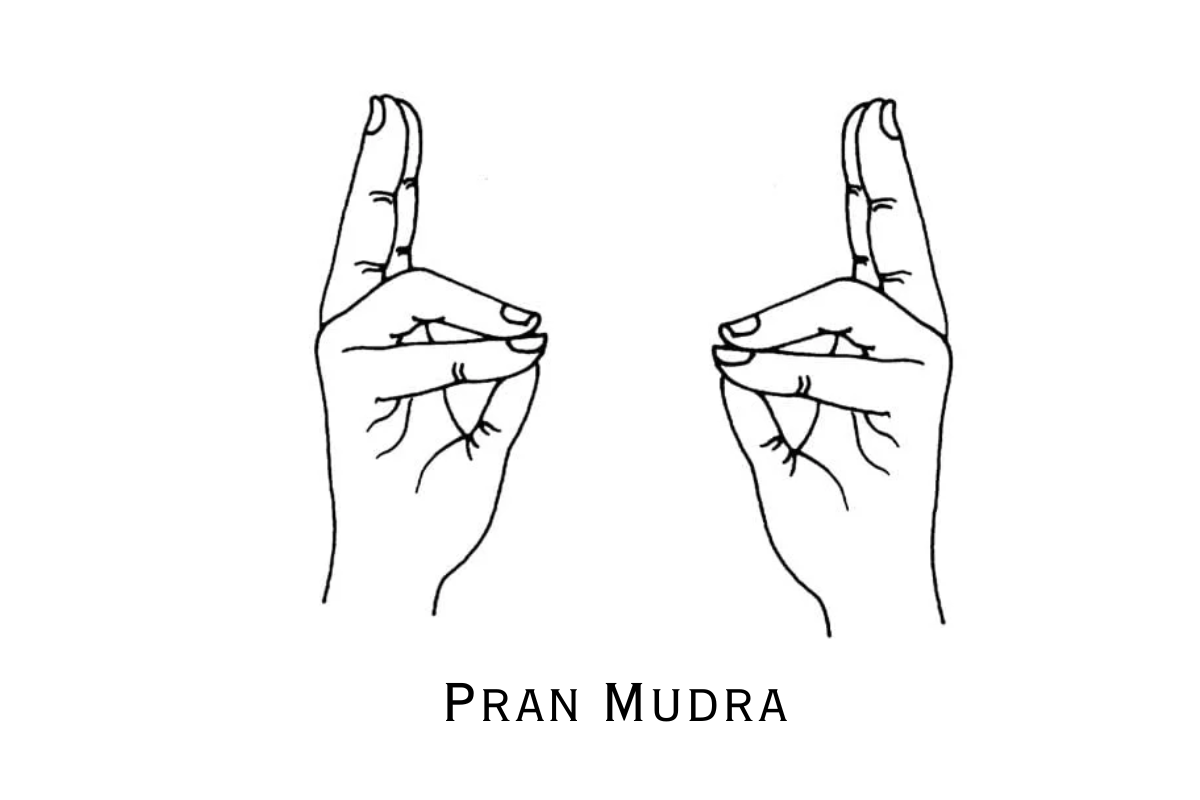 Pran Mudra