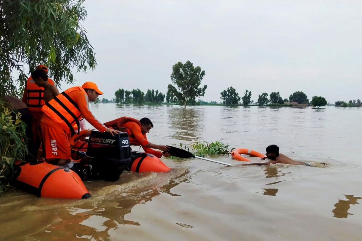 Very Heavy Rain: पंजाब, जम्मू-कश्मीर, उत्तराखंड और हिमाचल में मानसून ने बरपाया कहर, बाढ़ और भूस्खलन से सैकड़ों मौतें 1 Punjab-Floods