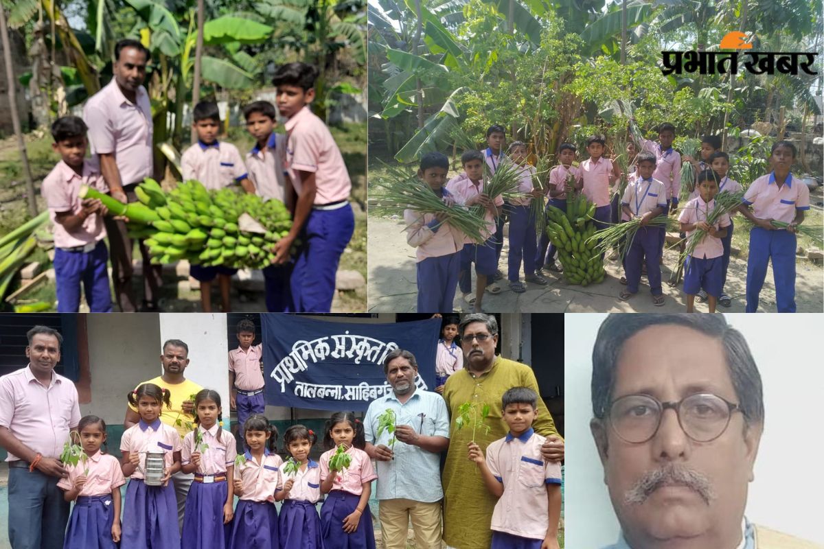Sanskrit School Kitchen Garden Sahibganj